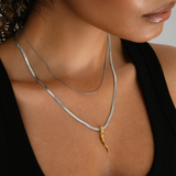 Mini Two Tone Lucky Horn Necklace